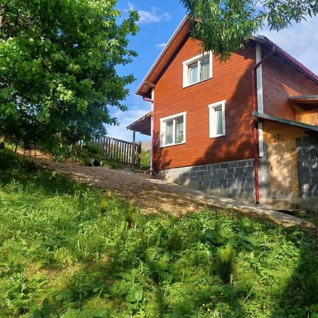 Карпатський Котедж Karpatian Cottage Vorokhta Bagian luar foto