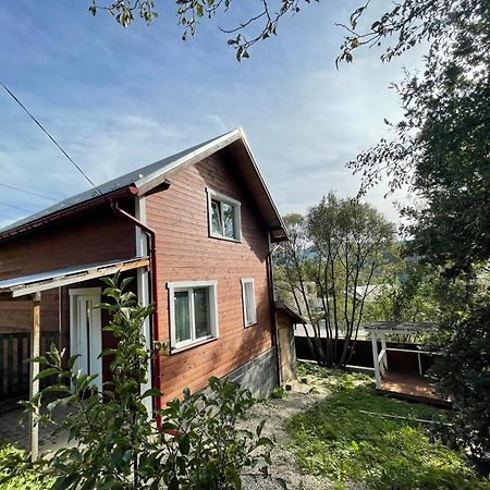 Карпатський Котедж Karpatian Cottage Vorokhta Bagian luar foto
