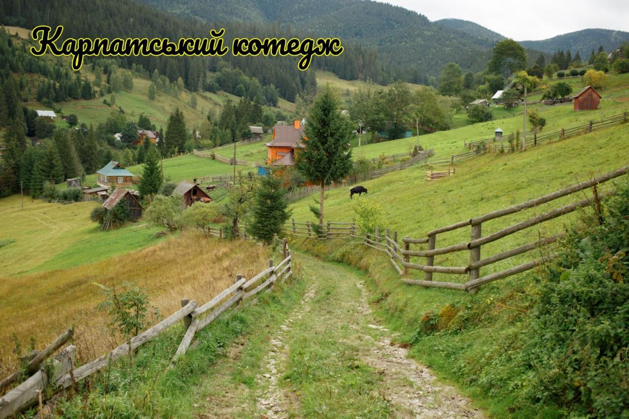 Карпатський Котедж Karpatian Cottage Vorokhta Bagian luar foto