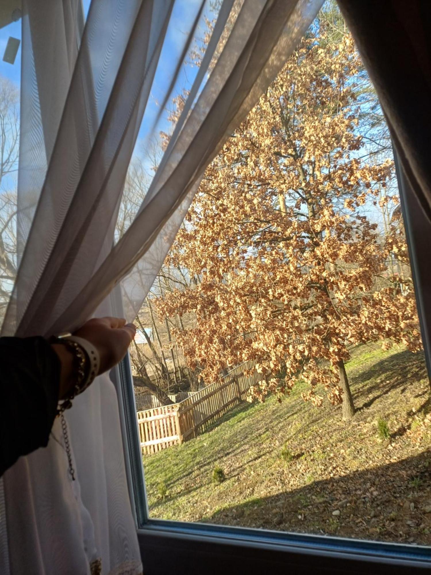 Карпатський Котедж Karpatian Cottage Vorokhta Bagian luar foto