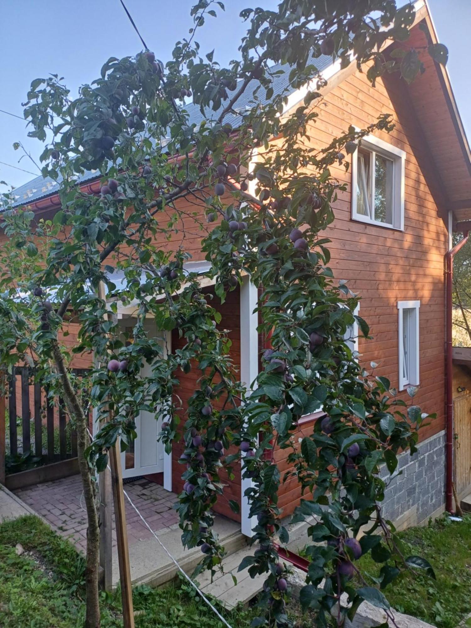 Карпатський Котедж Karpatian Cottage Vorokhta Bagian luar foto
